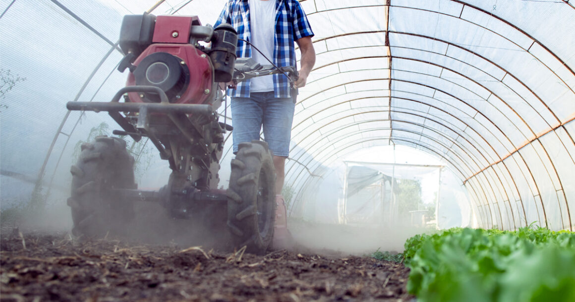 Decreto Legge Agricoltura: nuove agevolazioni per il settore primario