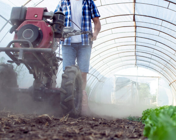 Decreto Legge Agricoltura: nuove agevolazioni per il settore primario